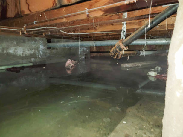 Best Water damage restoration near me  in Oak Hills Pce, LA