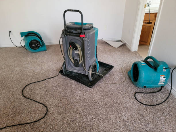 Best Local water damage restoration  in Oak Hills Pce, LA
