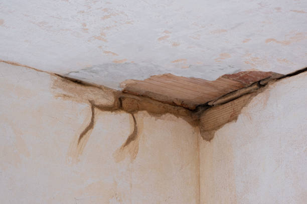 Best Emergency water damage restoration  in Oak Hills Pce, LA
