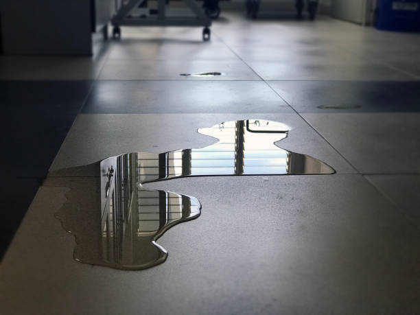 Best Commercial water damage restoration  in Oak Hills Pce, LA