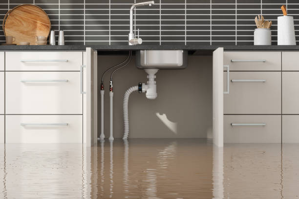Best Carpet water damage restoration  in Oak Hills Pce, LA