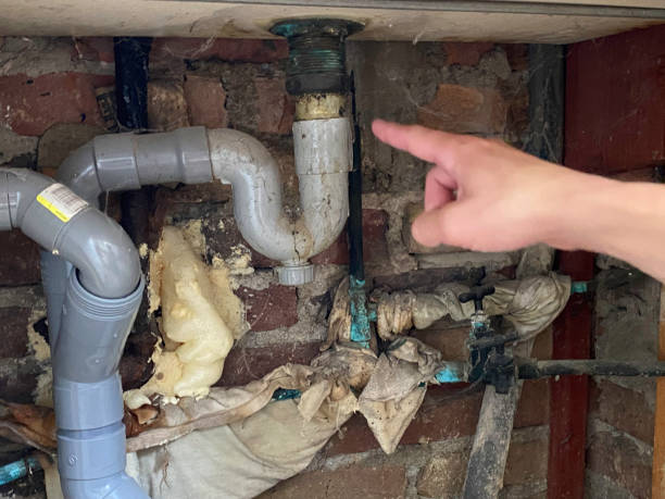 Best Carpet water damage restoration  in Oak Hills Pce, LA